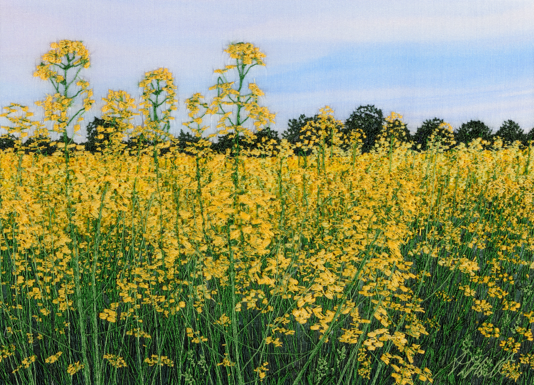 Alison Holt - textile artist